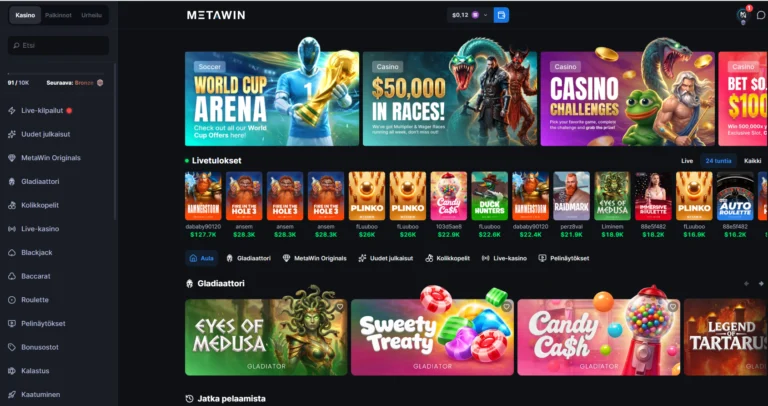 MetaWin arvostelu